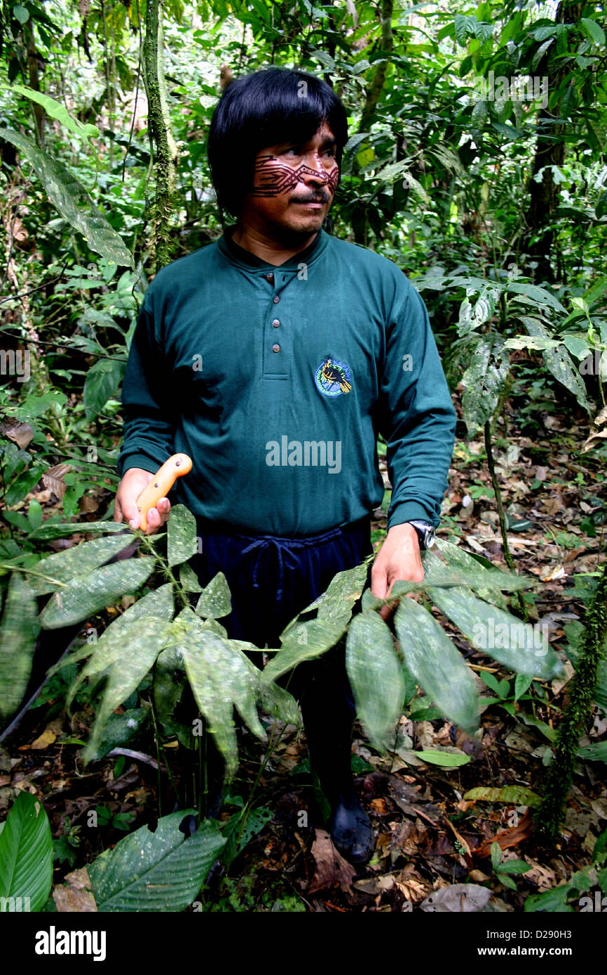 Ecuador. Achuar Führer in Kapawi Ecolodge Stockfoto