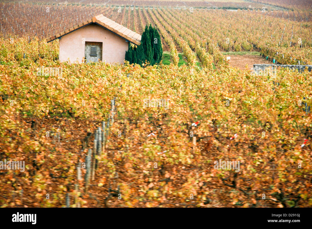 Frankreich, Beaune und nördlichen Burgund Weinberge Stockfoto