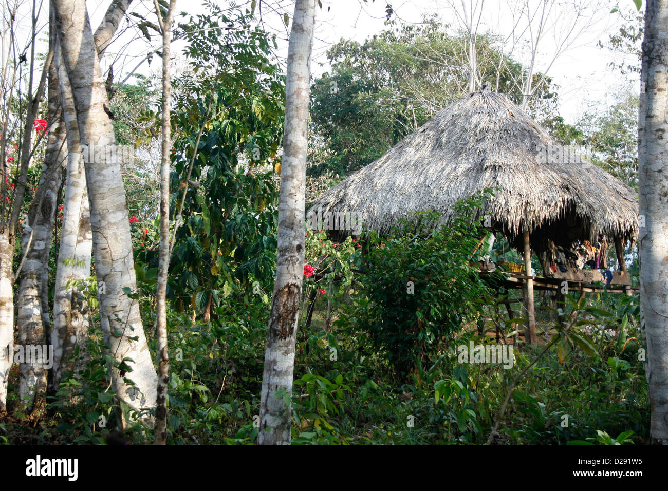 Panama, Embera Indianerdorf In der Darien Stockfoto