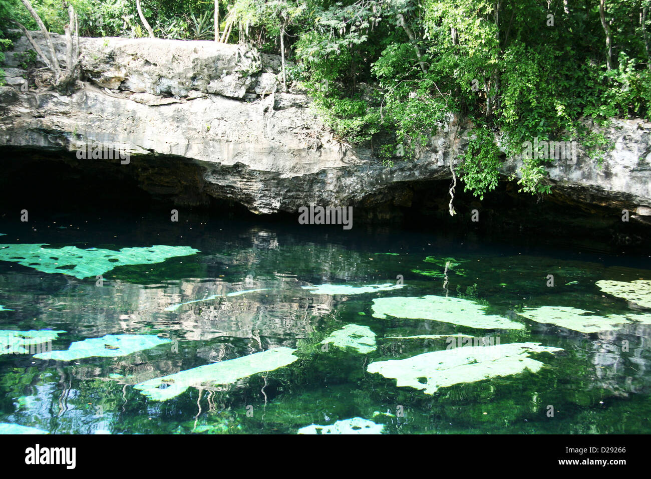 Cenote Azul. Mexiko Stockfoto