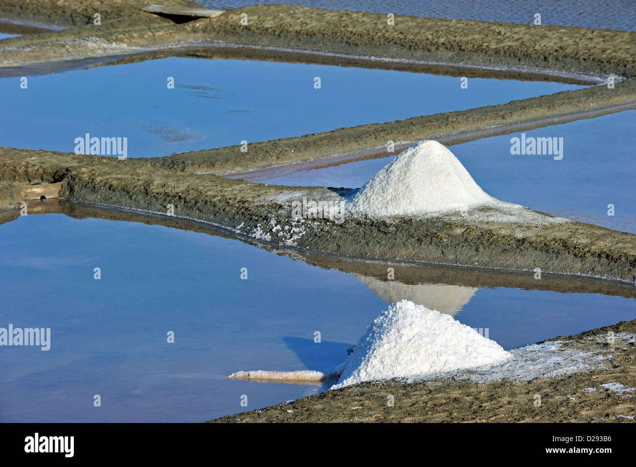 Salzpfanne für die Production von Fleur de Sel / Meersalz auf der Insel Ile de Ré, Charente-Maritime, Frankreich Stockfoto