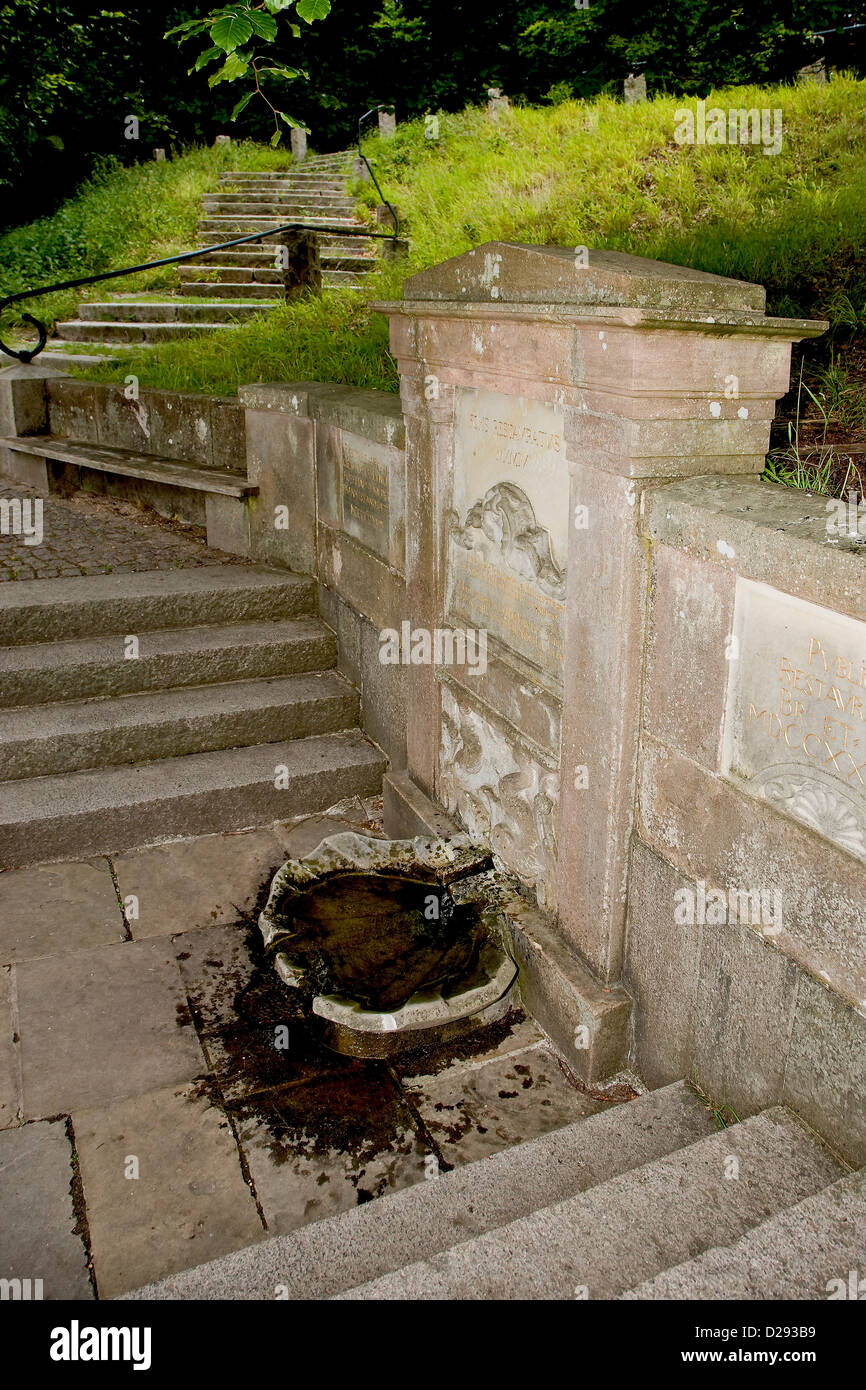 Kirsten Piils Frühling in dyrehaven Stockfoto