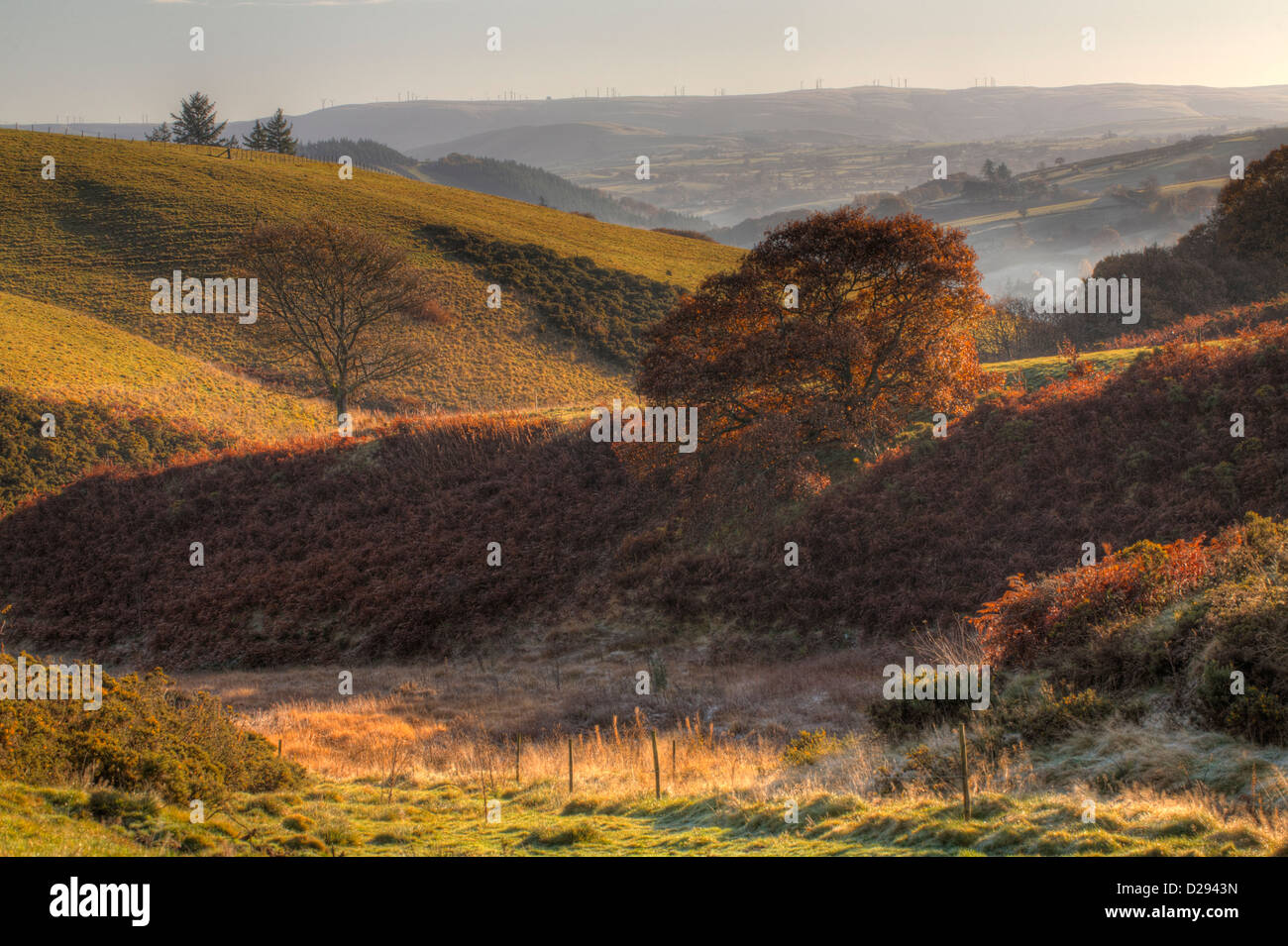 Blick auf Hügel Ackerland und das obere Tal des Severn (Hafren). In der Nähe von Llanidloes, Powys, Wales. November. Stockfoto