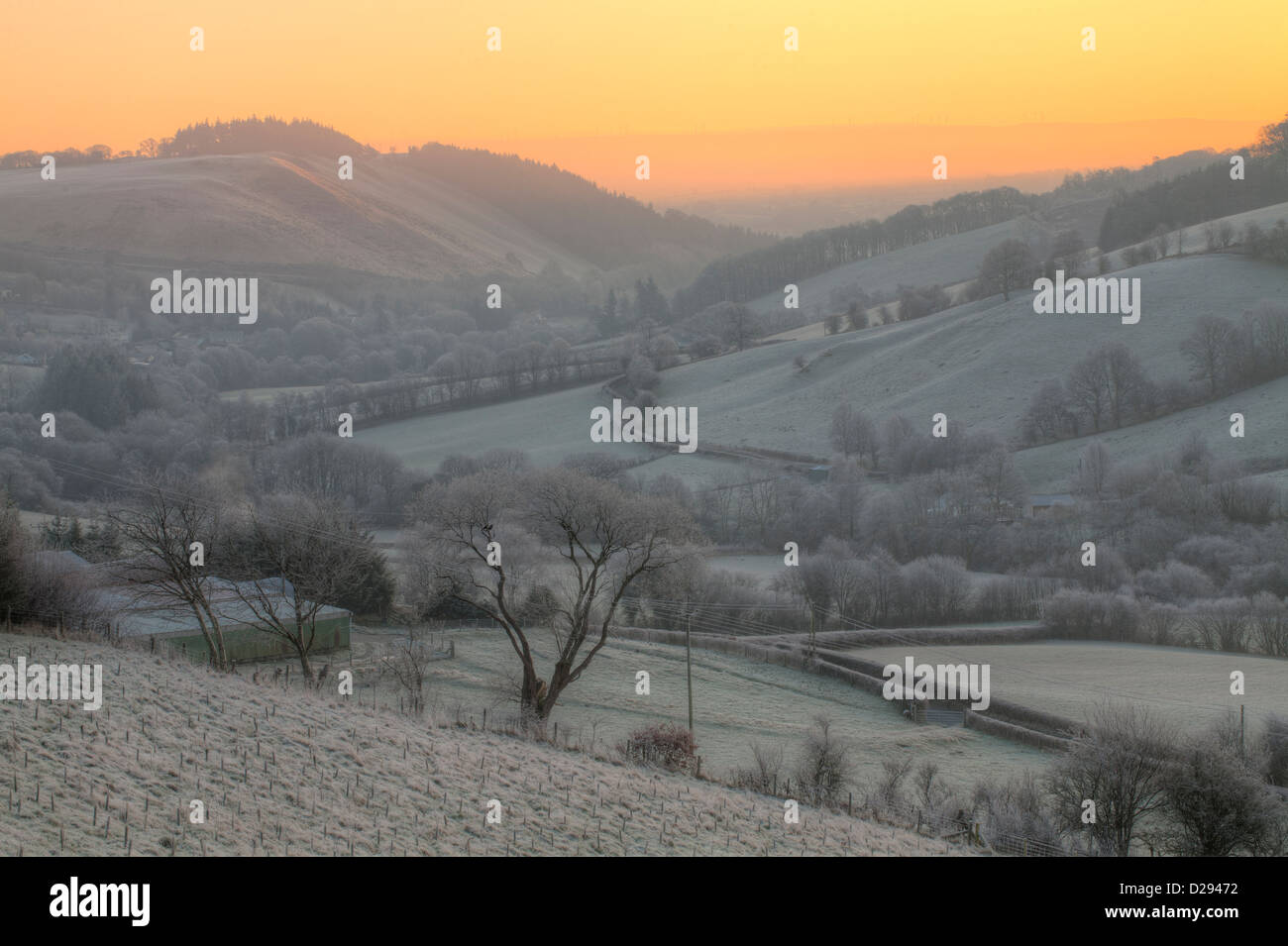 Blick auf Tal mit vor der Morgendämmerung Frost, die auf den hohen Hügeln aufgehende Sonne. Oberen Severn (Hafren) Tal. In der Nähe von Llanidloes, Powys, Wales Stockfoto