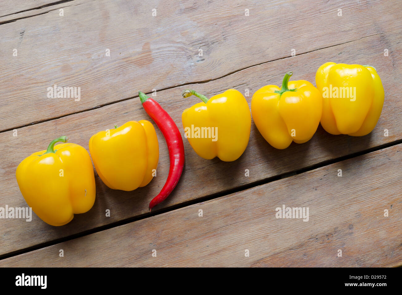 Reihe von süßen gelben Paprika und eine rote hot Chili Pepper dazwischen auf Vintage Holztisch Stockfoto