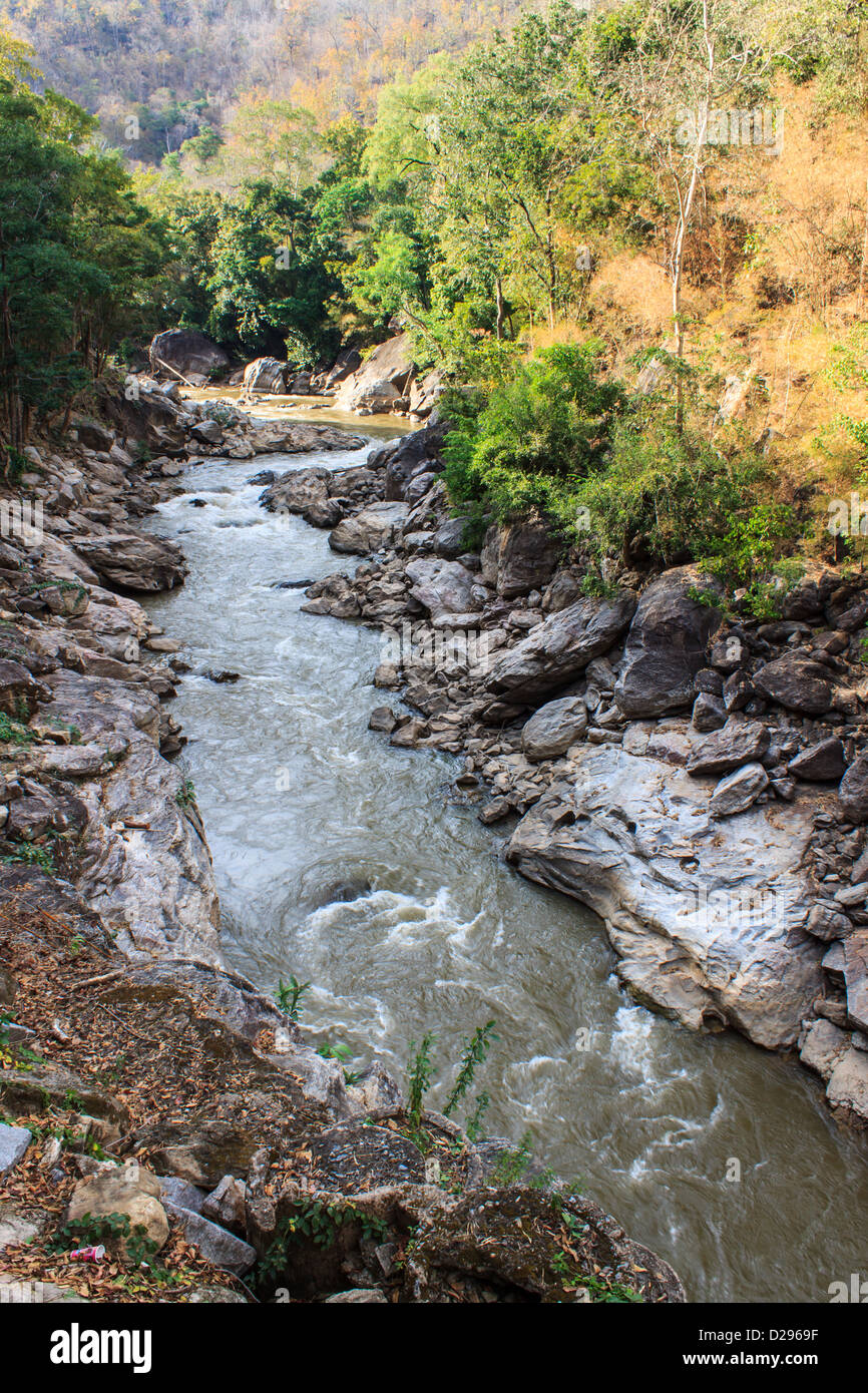 OP-Lunge-Nationalpark, Chiangmai Thailand Stockfoto