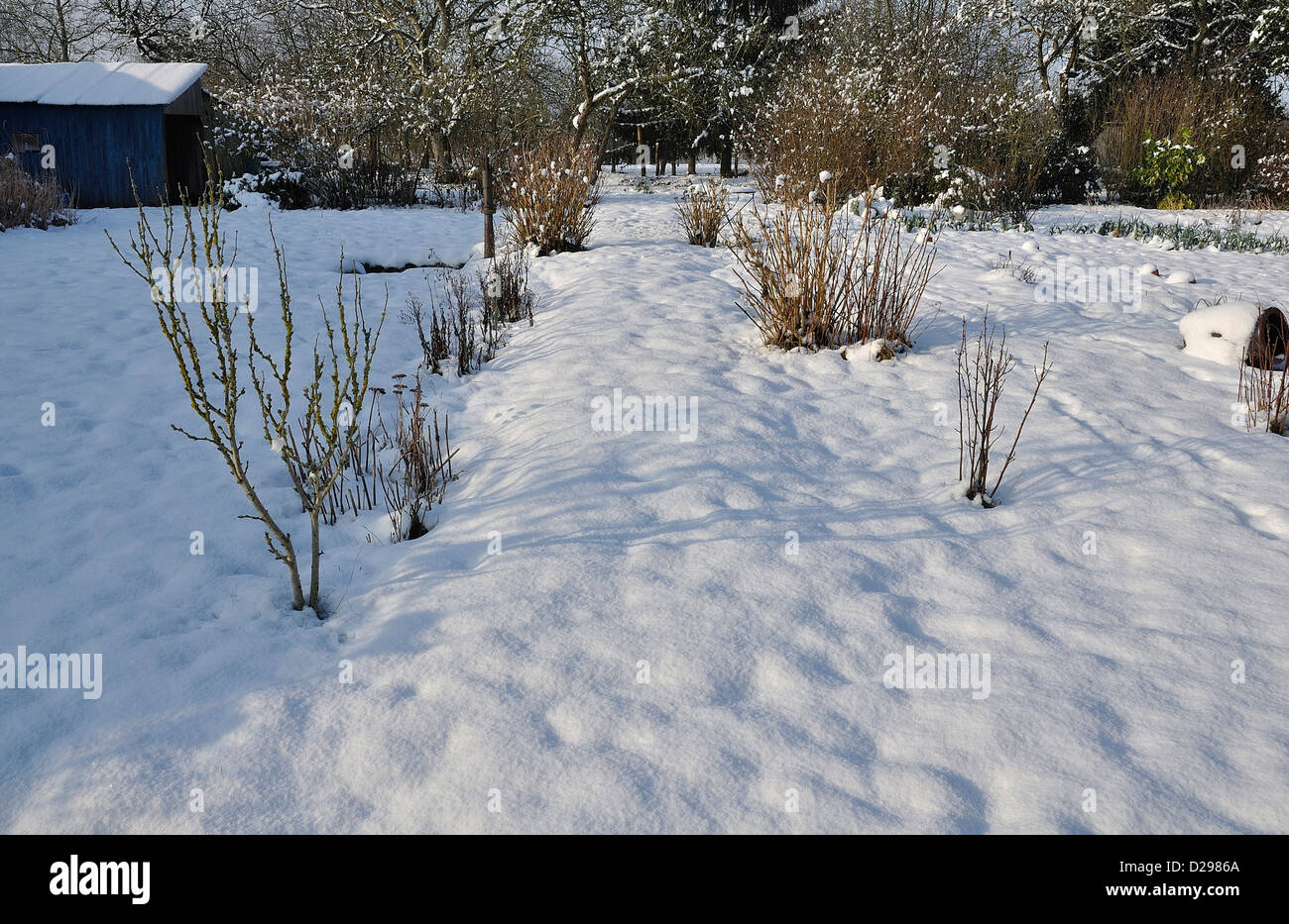Jardin potager sous la neige und hiver Fotos und Bildmaterial in