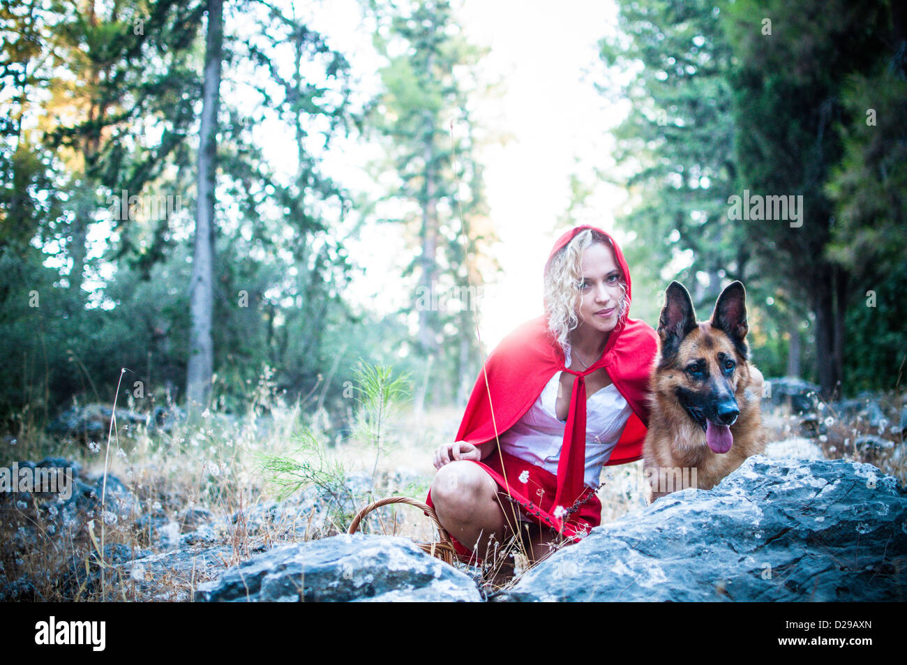 Der große böse Wolf und kleine rote befreien Hood im Wald Stockfoto