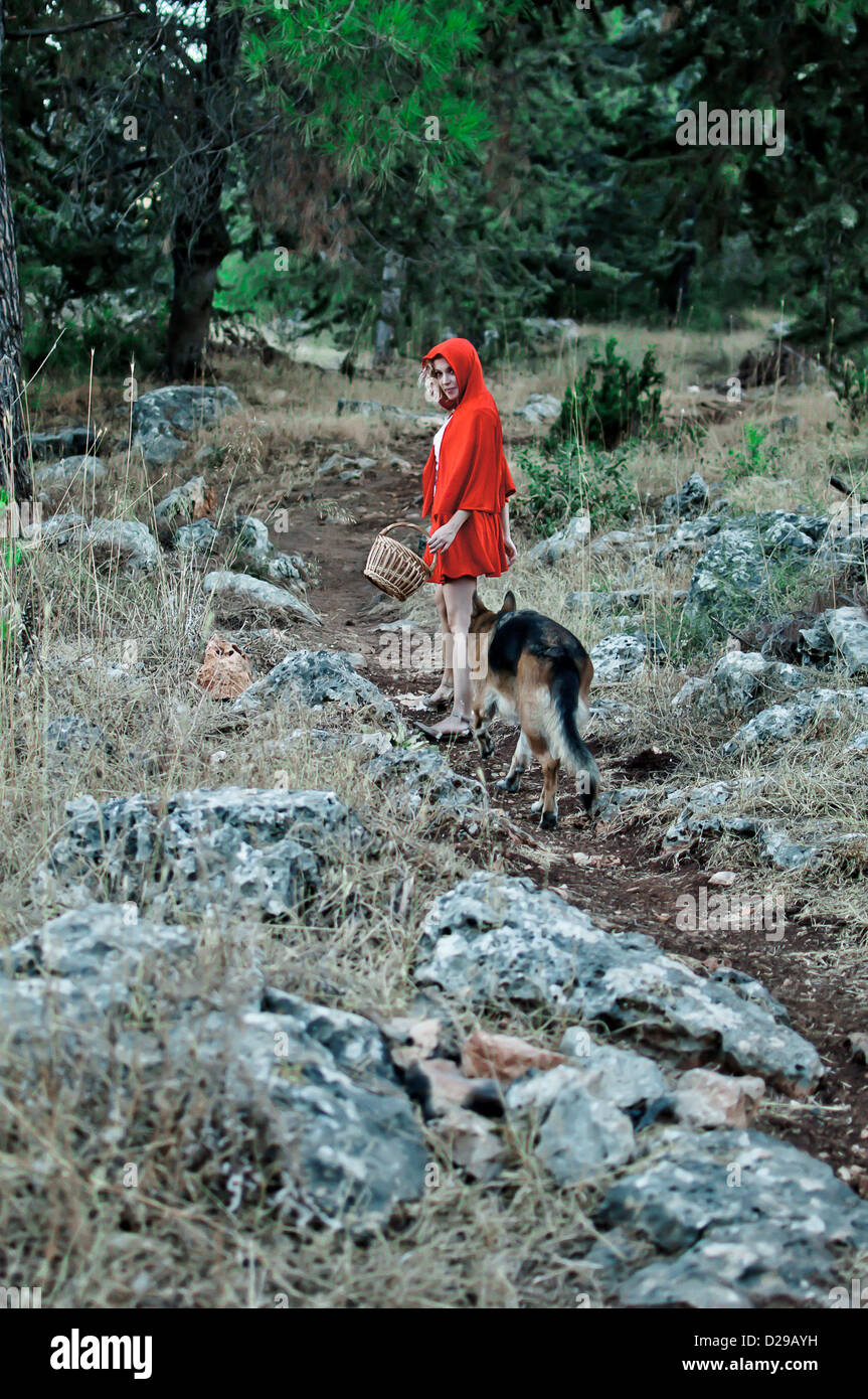 Der große böse Wolf und kleine rote befreien Hood im Wald Stockfoto