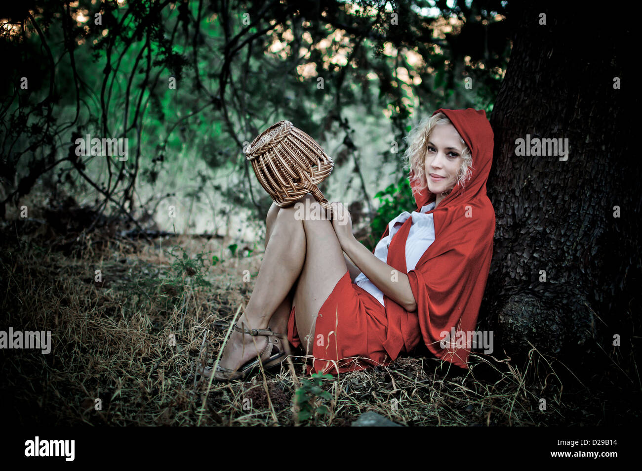 Kleine rote befreien Hood im Wald Stockfoto