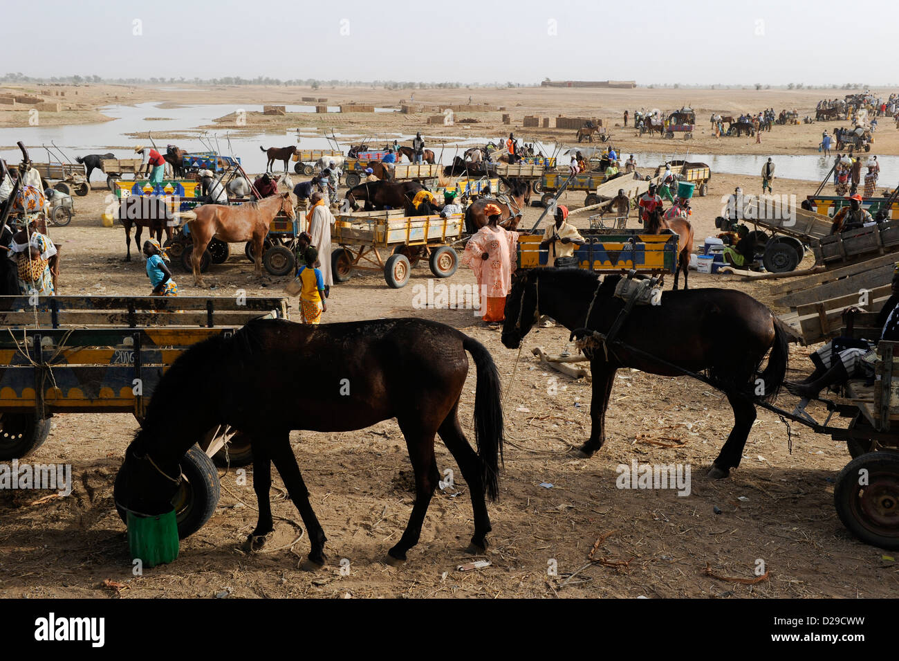 Bani welt Fotos und Bildmaterial in hoher Auflösung Alamy