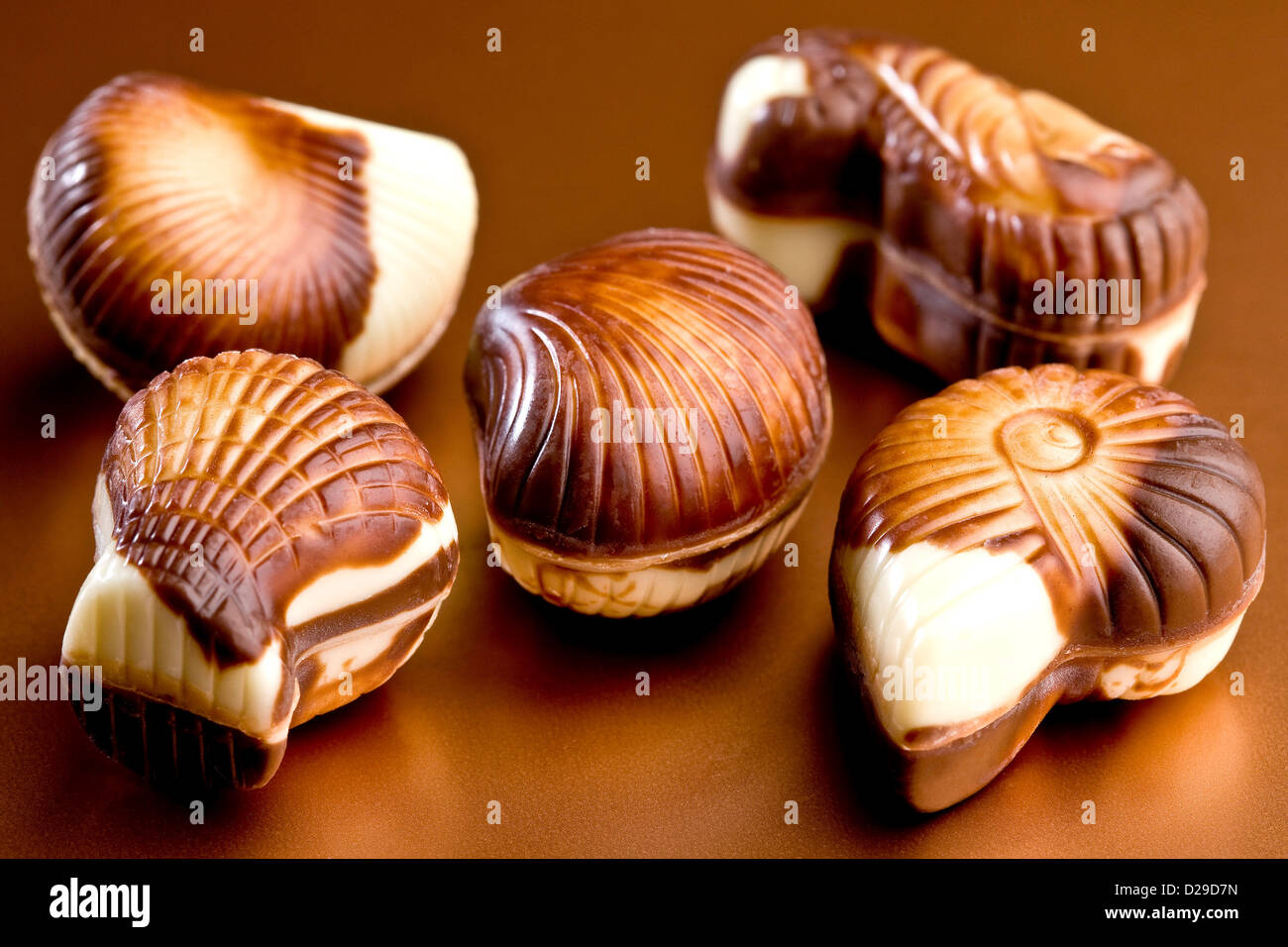 Belgische Schokolade Muscheln Stockfoto