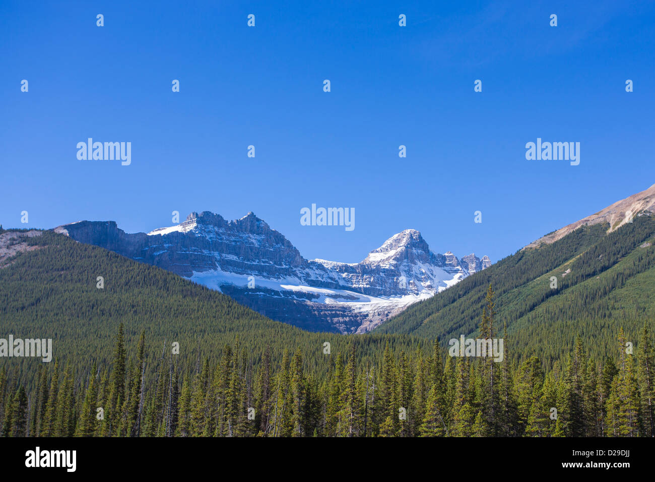 Pilz-Peak entlang des Icefields Parkway im Jasper National Park in Alberta, Kanada Stockfoto