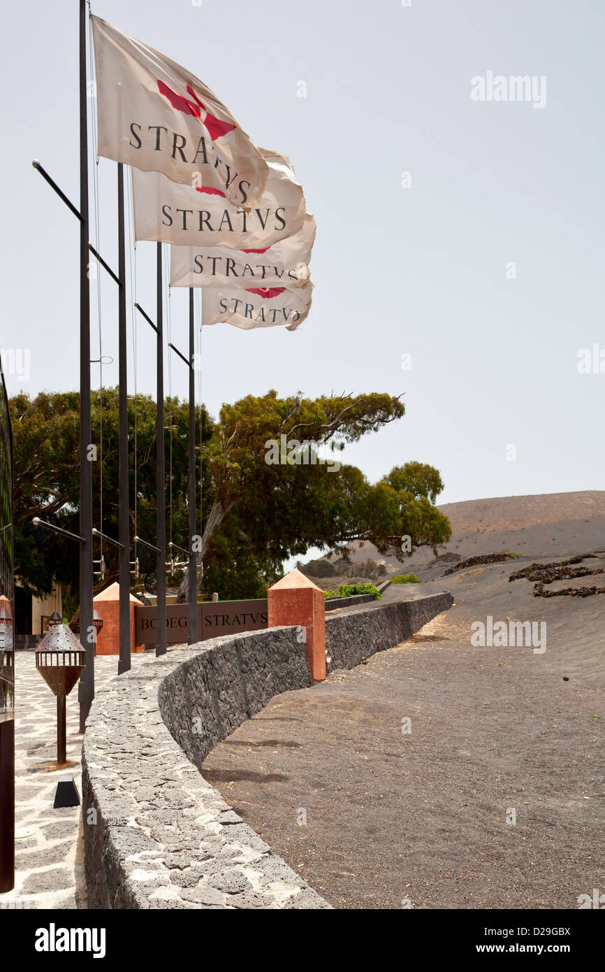 Flaggen auf dem Weingut Bodega Stratvs - La Geria, Lanzarote, Kanarische Inseln, Spanien, Europa Stockfoto