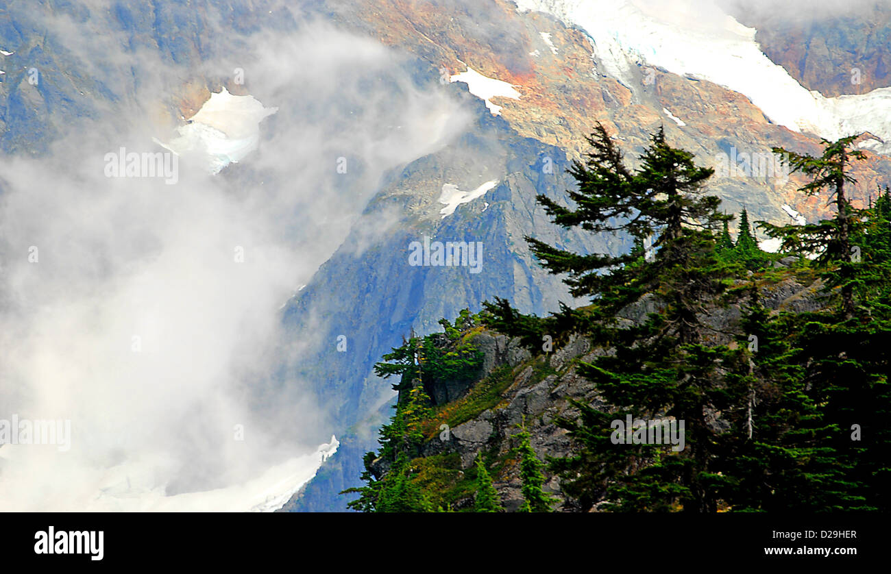 Gletscher, Cascade Mountains, wei Stockfoto