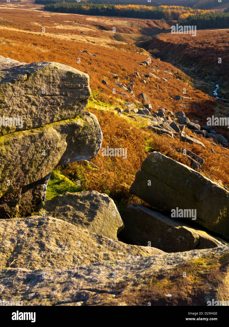 Felsen und ländliche Landschaft im Spätherbst an Burbage Brücke in der Nähe von Hathersage im Peak District Nationalpark Derbyshire England Stockfoto