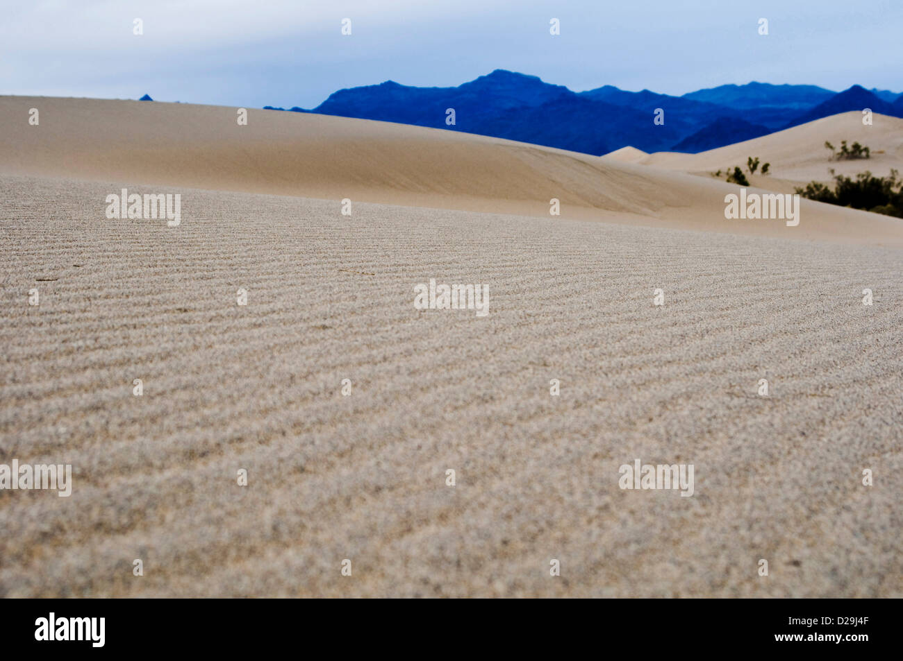 Sanddünen, Death Valley Stockfoto