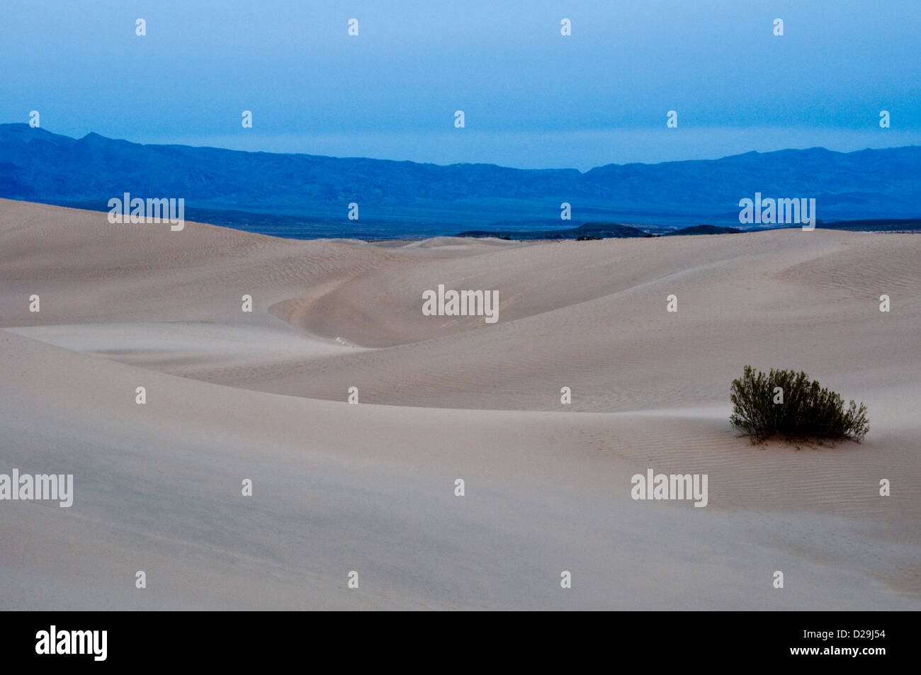 Sanddünen, Death Valley Stockfoto