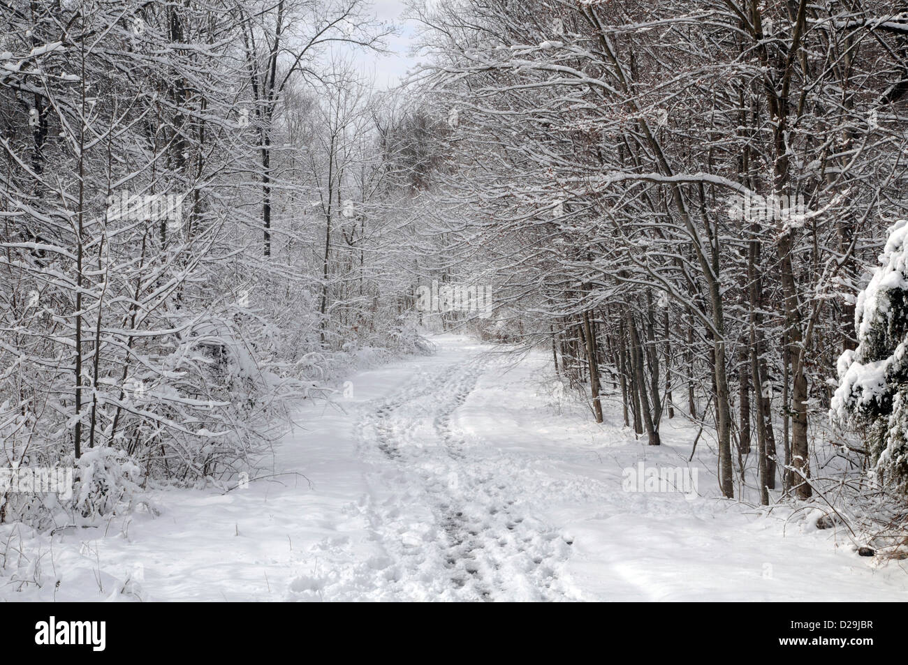 Verschneiten Pfad, Virginia Stockfoto