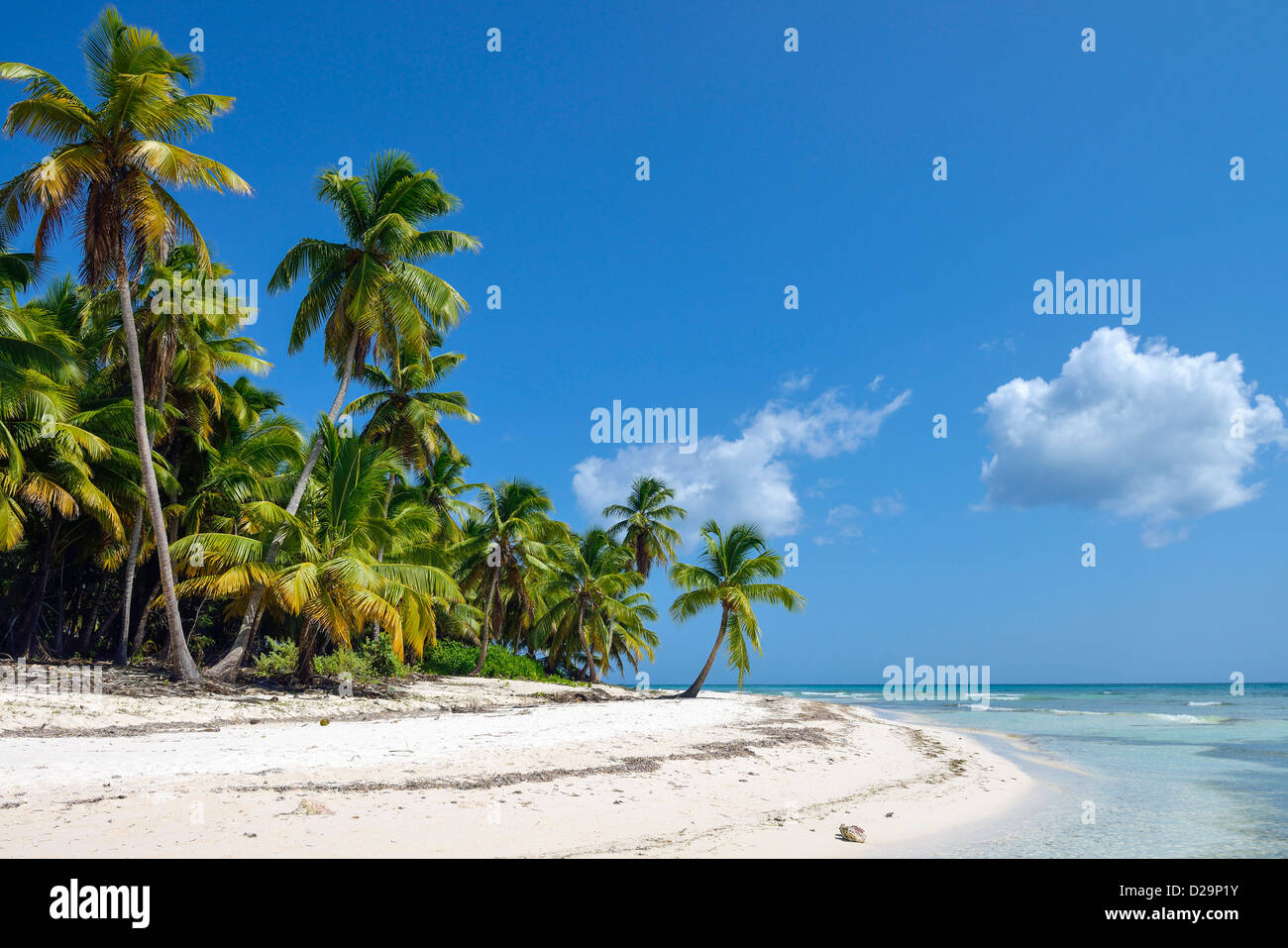 Isla Saona, Dominikanische Republik, Caribbean Stockfoto