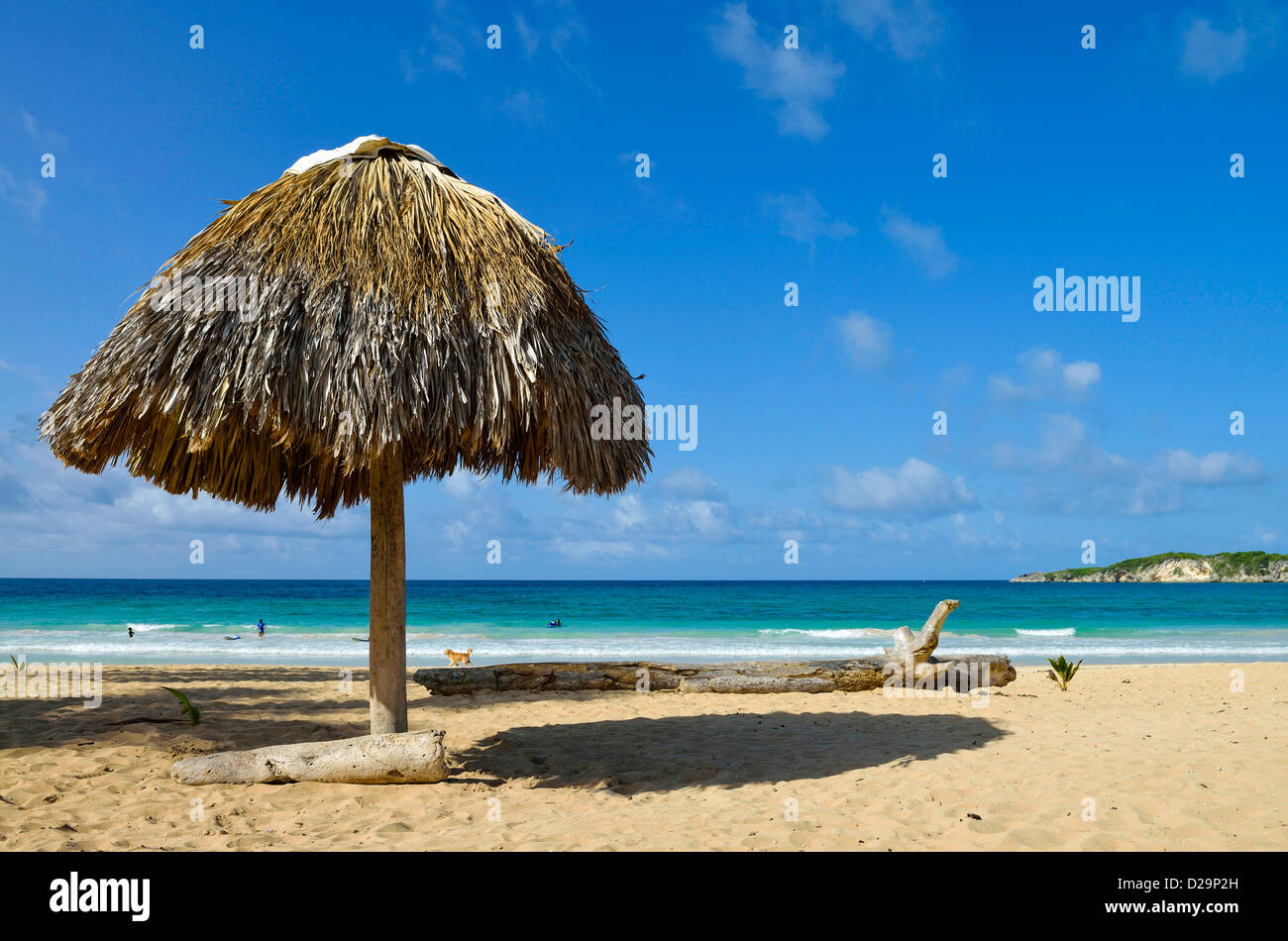 Blick auf das wunderschöne Playa Macao tropical beach Beach, Punta Cana, Dominikanische Republik Stockfoto