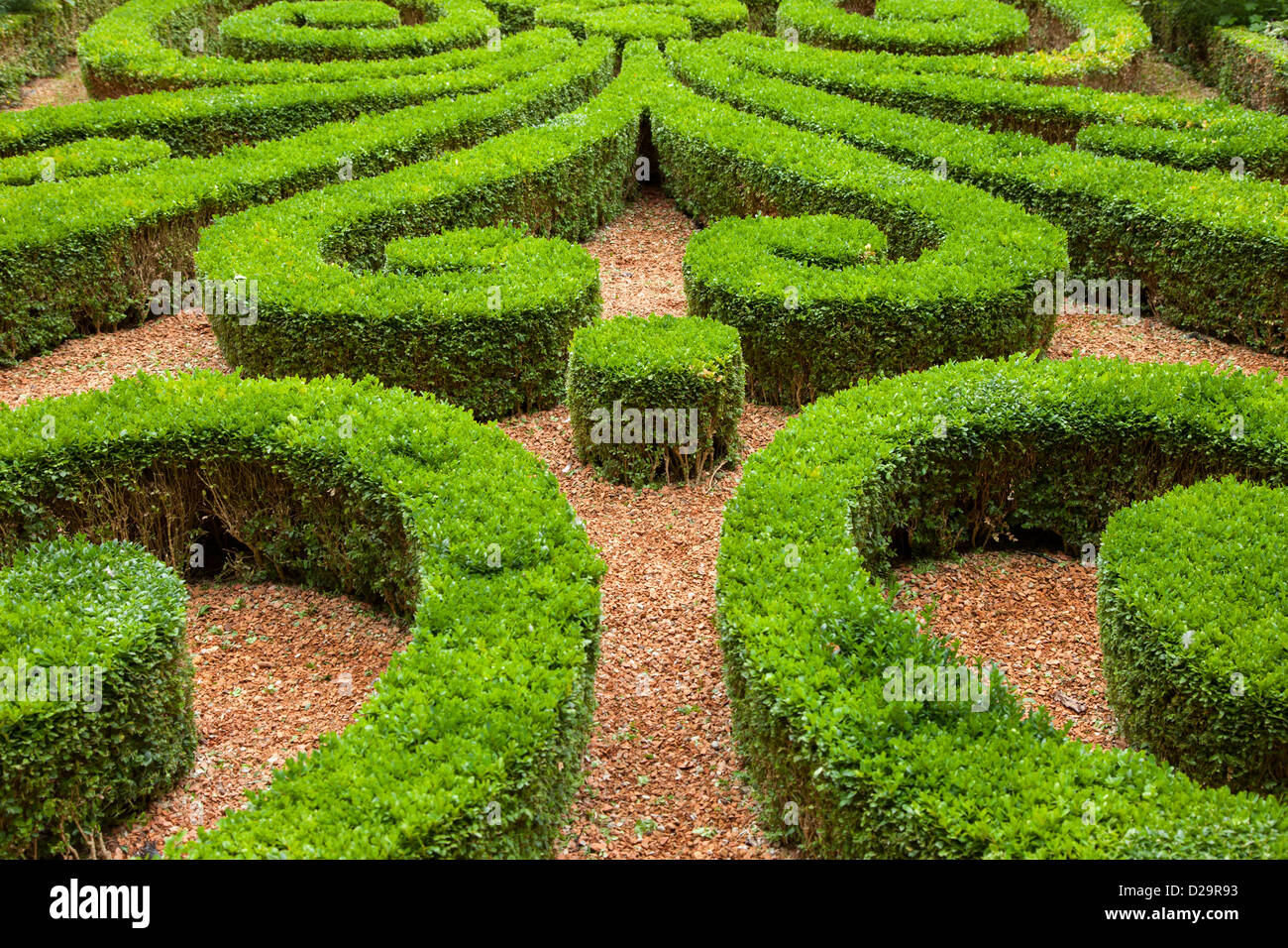 Gepflegten Buchsbaum Garten am Hotel Carnavalet, Les Marais, Paris Frankreich Stockfoto