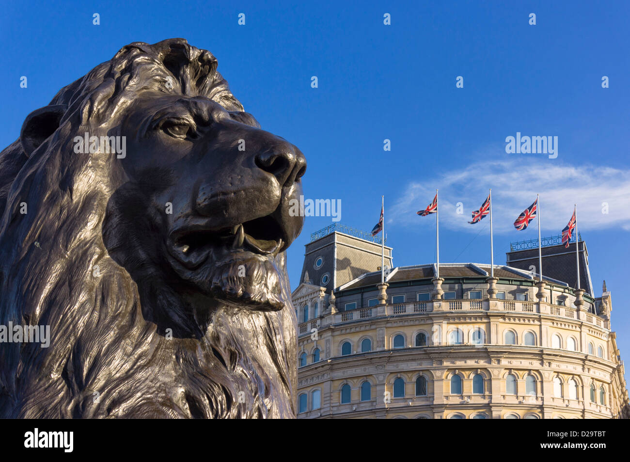 Löwen in Trafalgar Square, London, England, UK - mit Union Jack Fahnen hinter Stockfoto