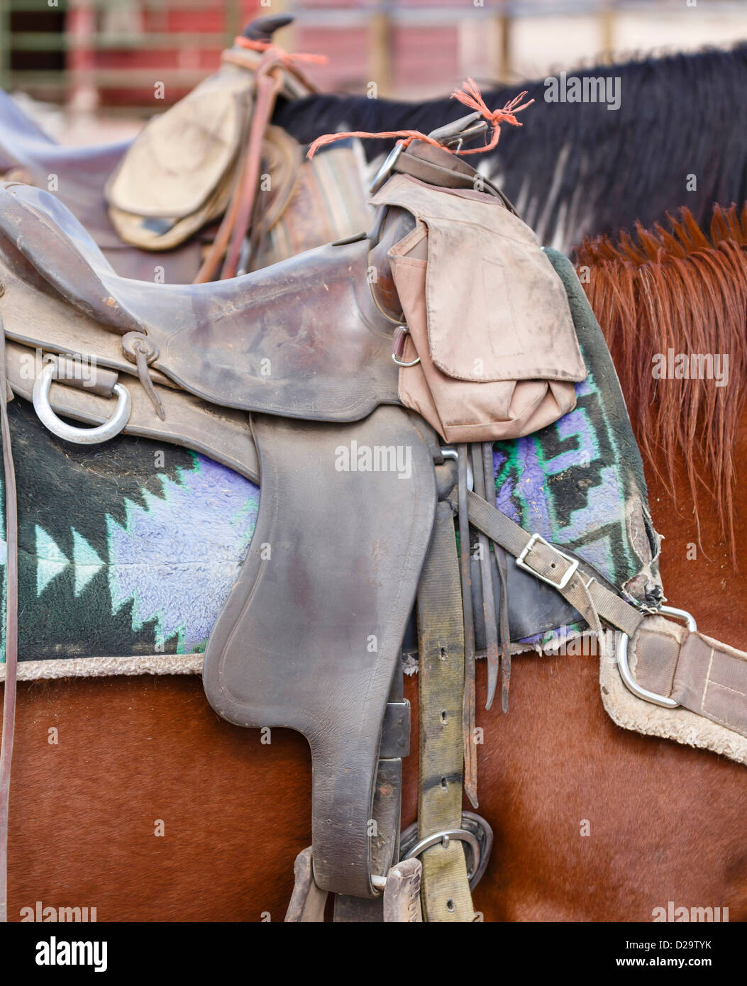 Nahaufnahme des westlichen US Stil Pferdenheftzwecke und Sattel Stockfoto