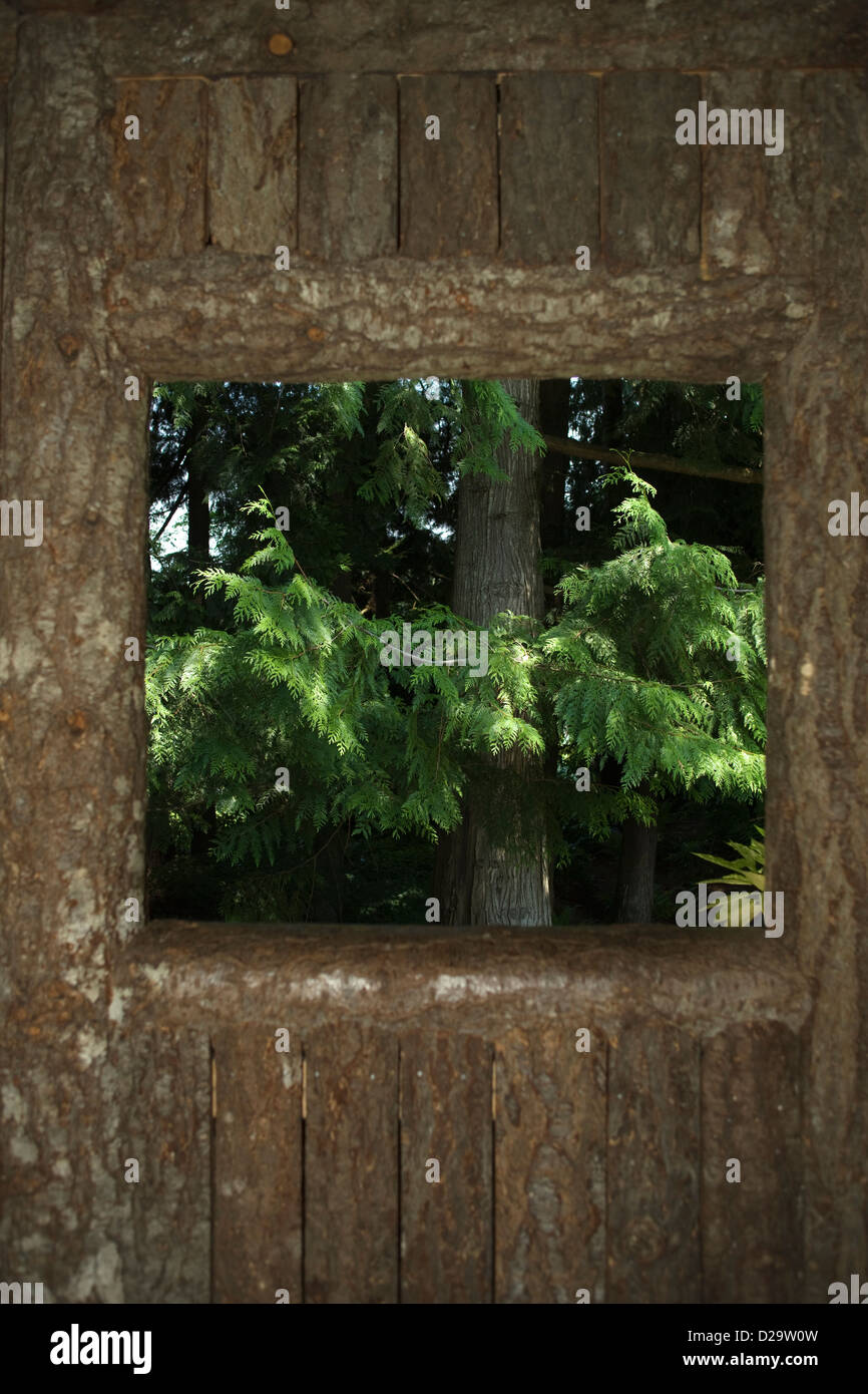 FIR TREE WALDBLICK HOLZHÜTTE FENSTERRAHMEN Stockfoto