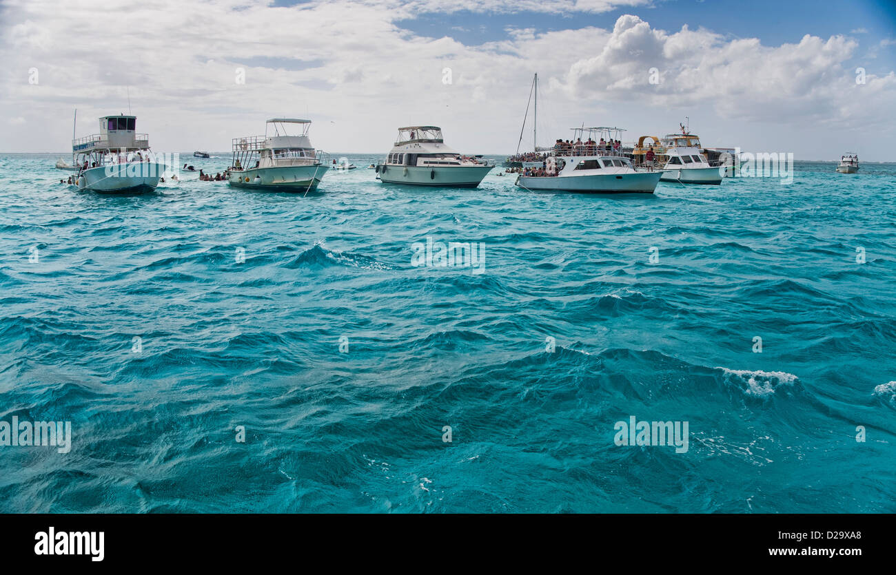 Gruppe von Tourboote Schwimmen im türkisblauen Wasser an der Sandbank Stingray City in Grand Cayman Stockfoto
