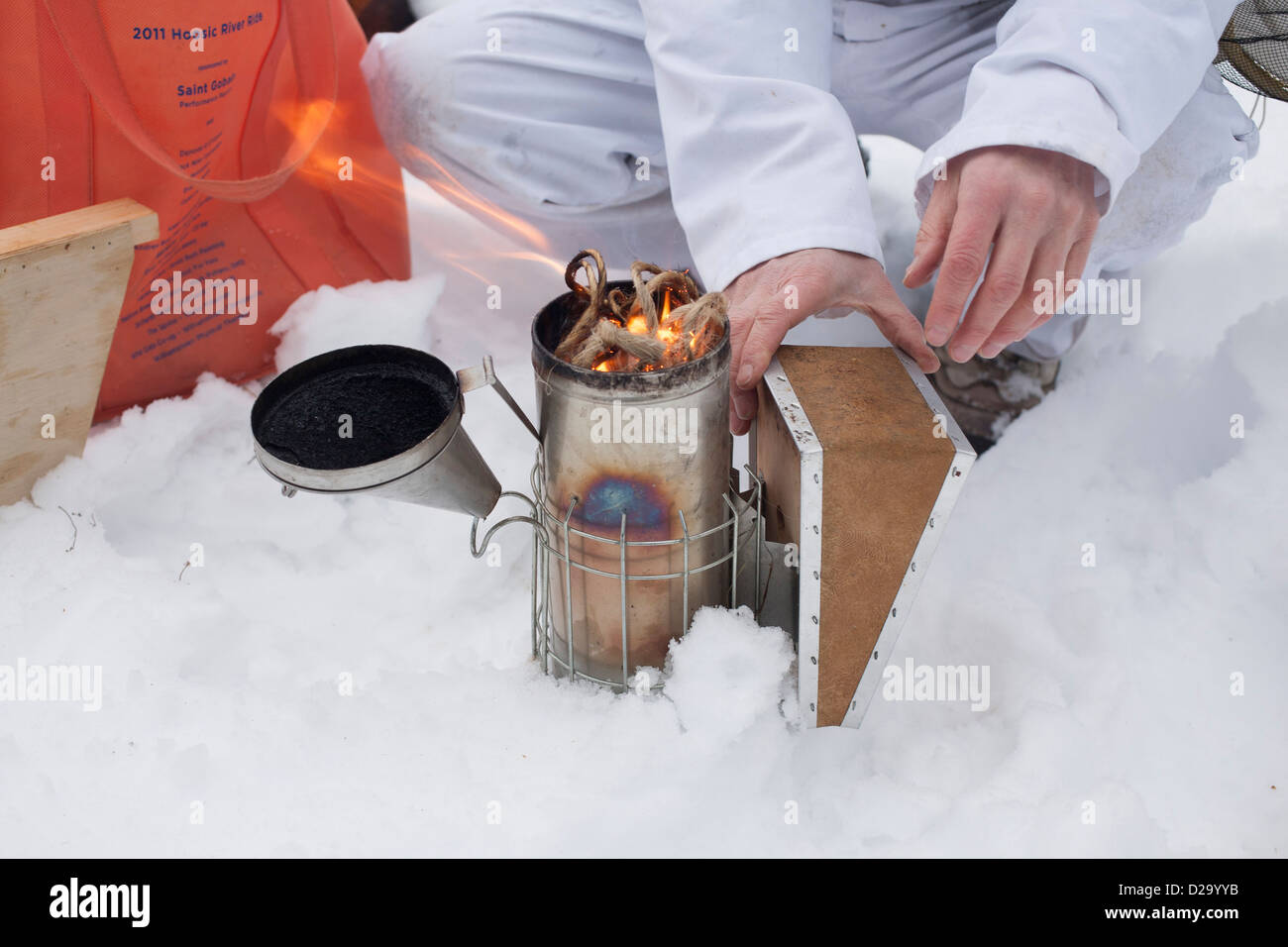 Frau Imker beginnt zu arbeiten am Bienenstock für den Winterdienst, feuern die Raucher, der die Bienen zu beruhigen. Stockfoto