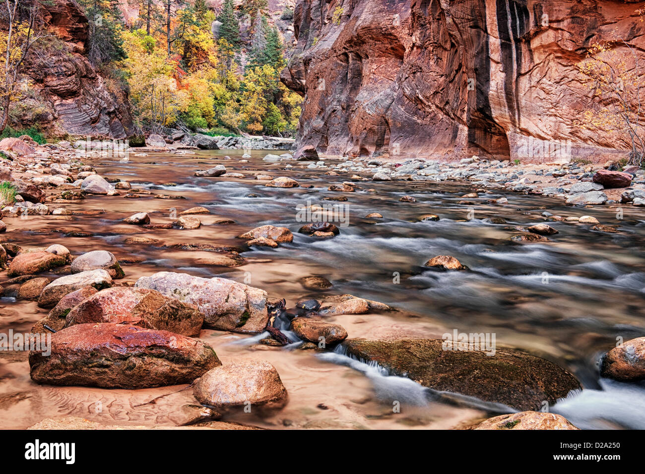 Reflektierende Licht erhellt die Sandsteinwände der The Narrows, wie dem Virgin River durch Zion National Park in Utah stürzt. Stockfoto