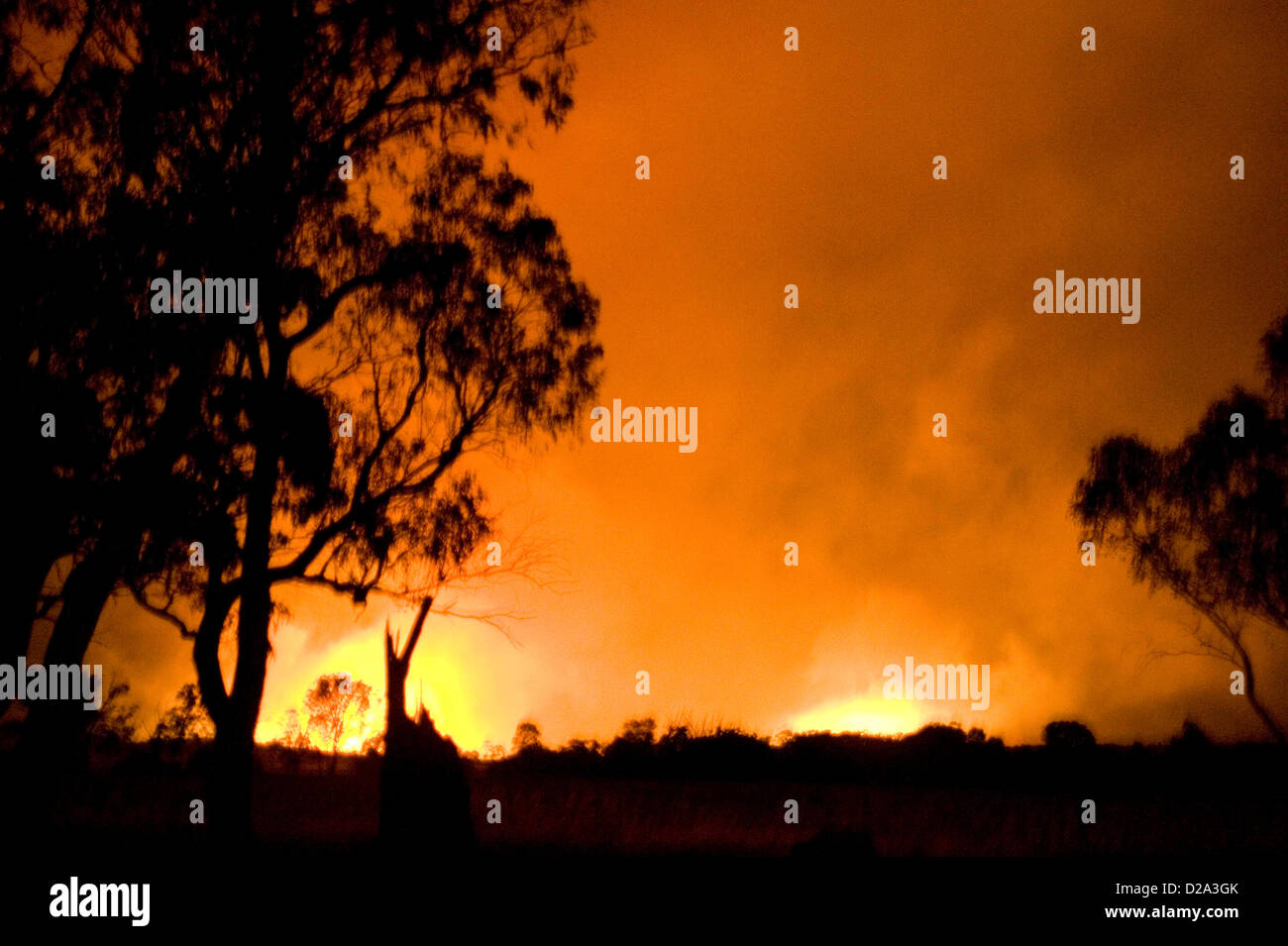 Heyfield, Victoria, Australien. 18. Januar 2013. Buschfeuer brennen außer Kontrolle geraten, durch Victoria fast zerstören die Township Heyfield reißen. Häuser evakuiert, und viele haben bereits verloren. Bildnachweis: Doug steley / Alamy Live News Stockfoto