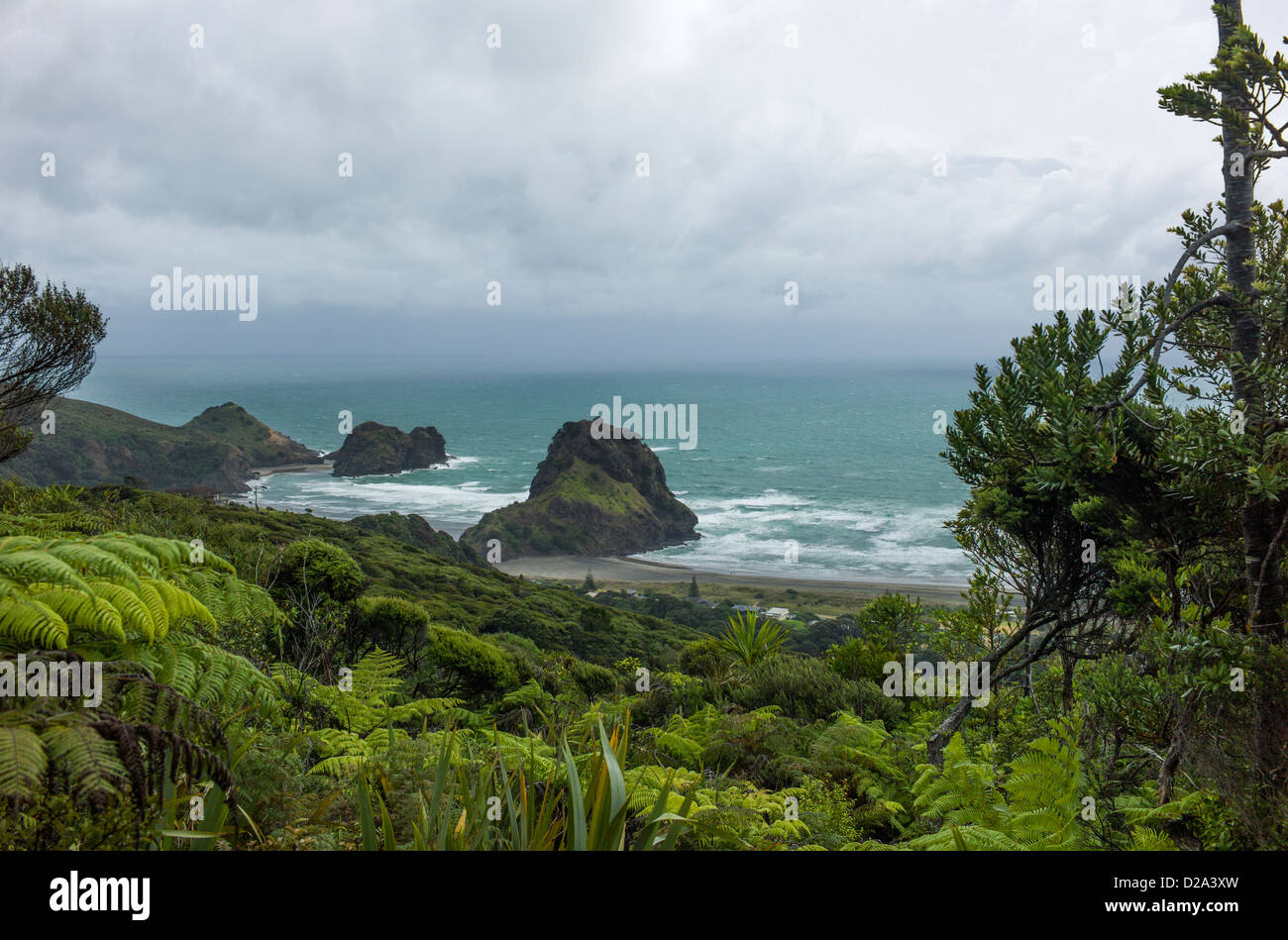 Piha Beach Neuseeland aus dem Maungaroa Ridge Track von Edmund Hillary Trail abgebildet. Stockfoto