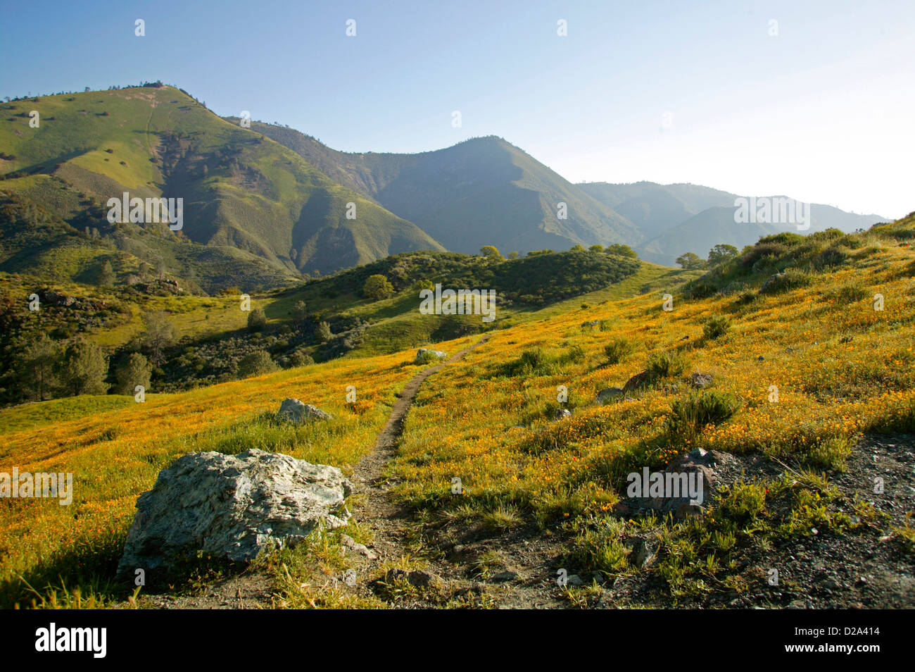 Zentral-Kalifornien. Figueroa Mountain im Los Padres National Forest. Stockfoto