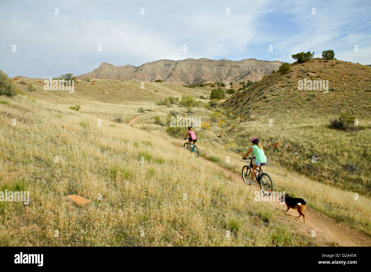 Zwei junge Mädchen (8 & 10) Mountian Bike-Trails in der Nähe von Fruita, Colorado mit ihrem Hund. Stockfoto