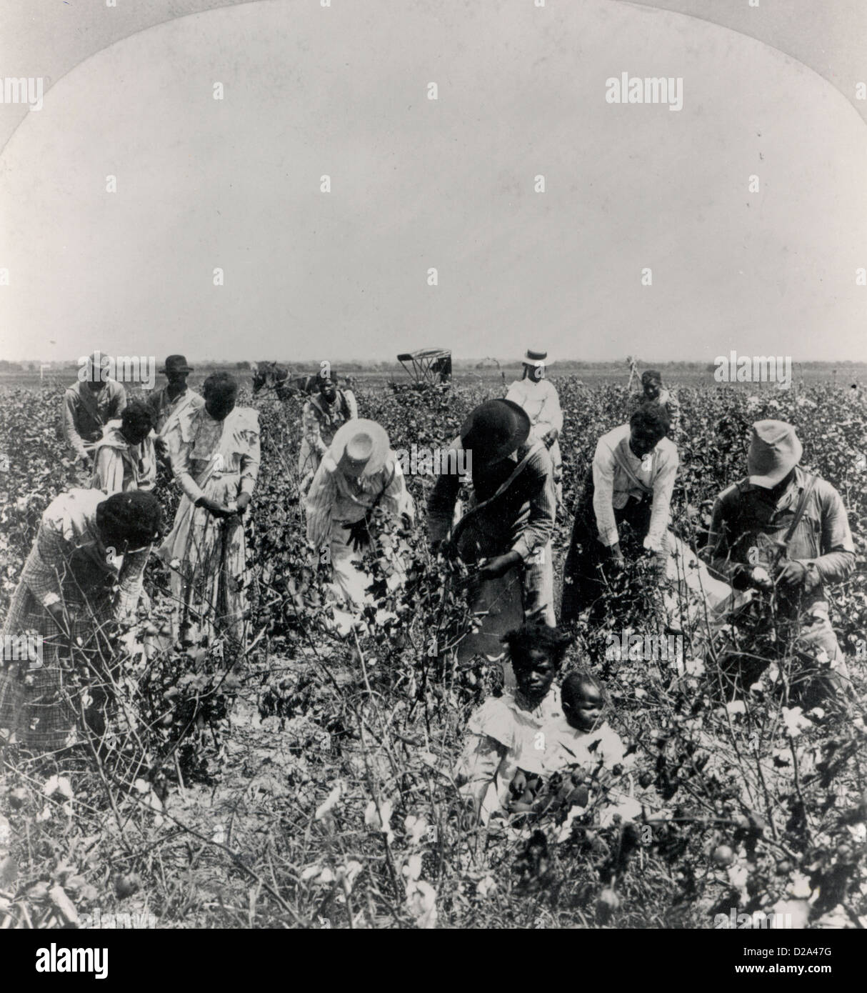Blacks arbeitet als Pächter auf Plantage nach dem Bürgerkrieg. Stockfoto