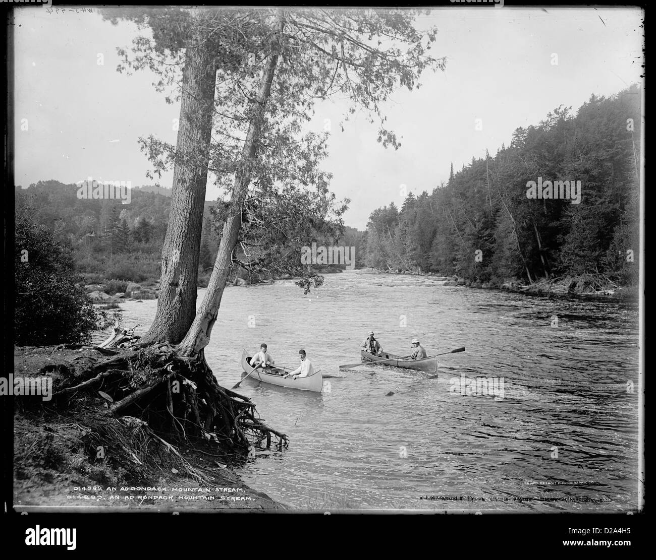 Ein Adirondack Mountain Stream [C 1902] William Henry Jackson, 1843 – 1942 Fotograf Stockfoto