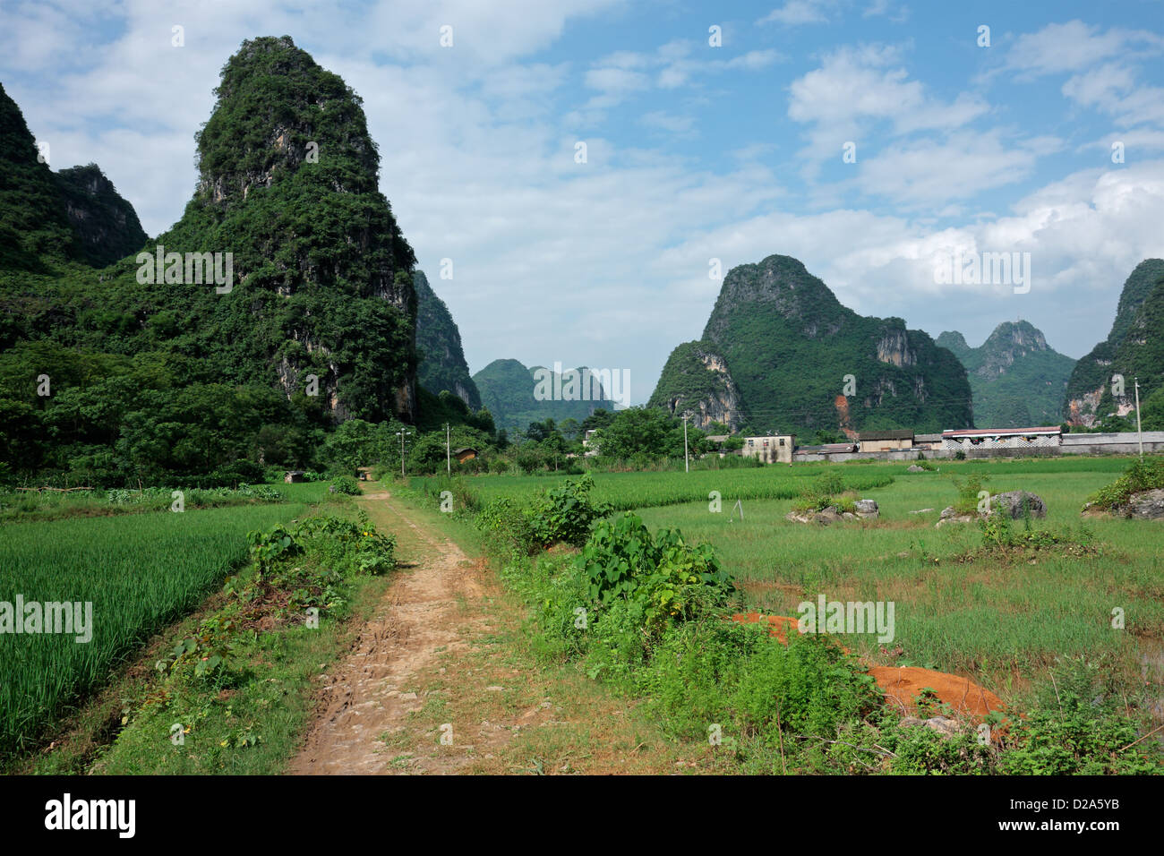 Landschaft des ländlichen China mit Reisfeldern und Kalkberge Stockfoto