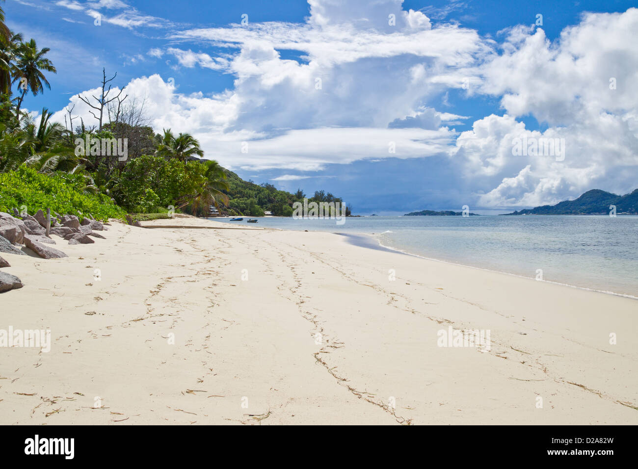 Cerf Island Stockfoto