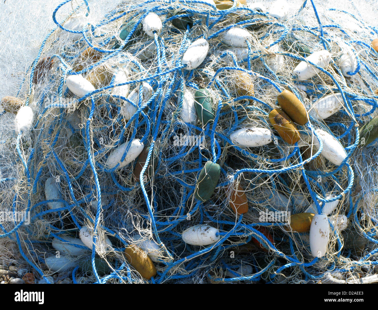 Fischernetz verfangen am Strand Stockfoto