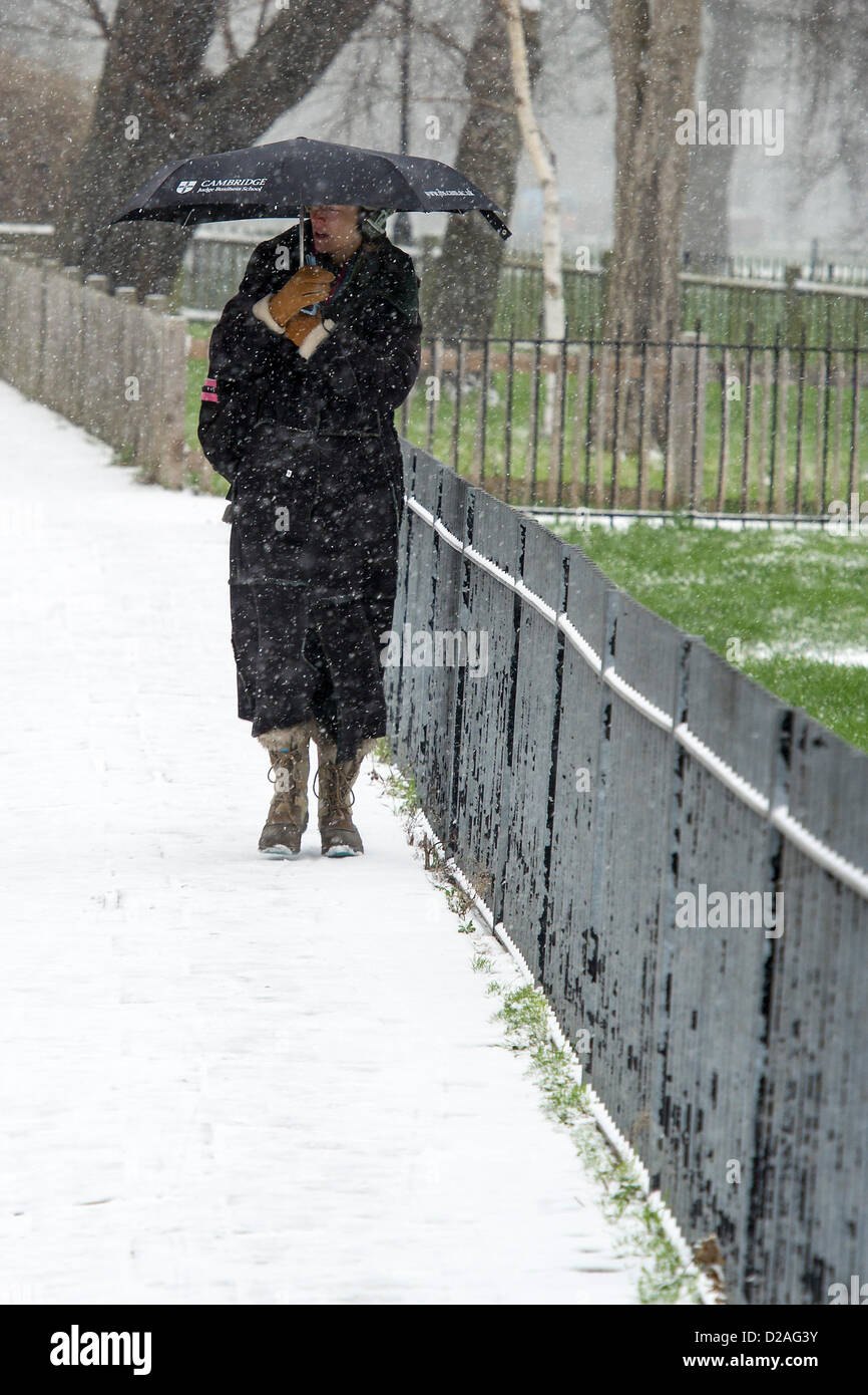 Schneefall macht pendeln schwieriger aber hört nicht auf Dogwalkers oder Mütter ihre kleinen Kinder auf Clapham Common, London, UK, 18. Januar 2013 herausnehmen. Stockfoto