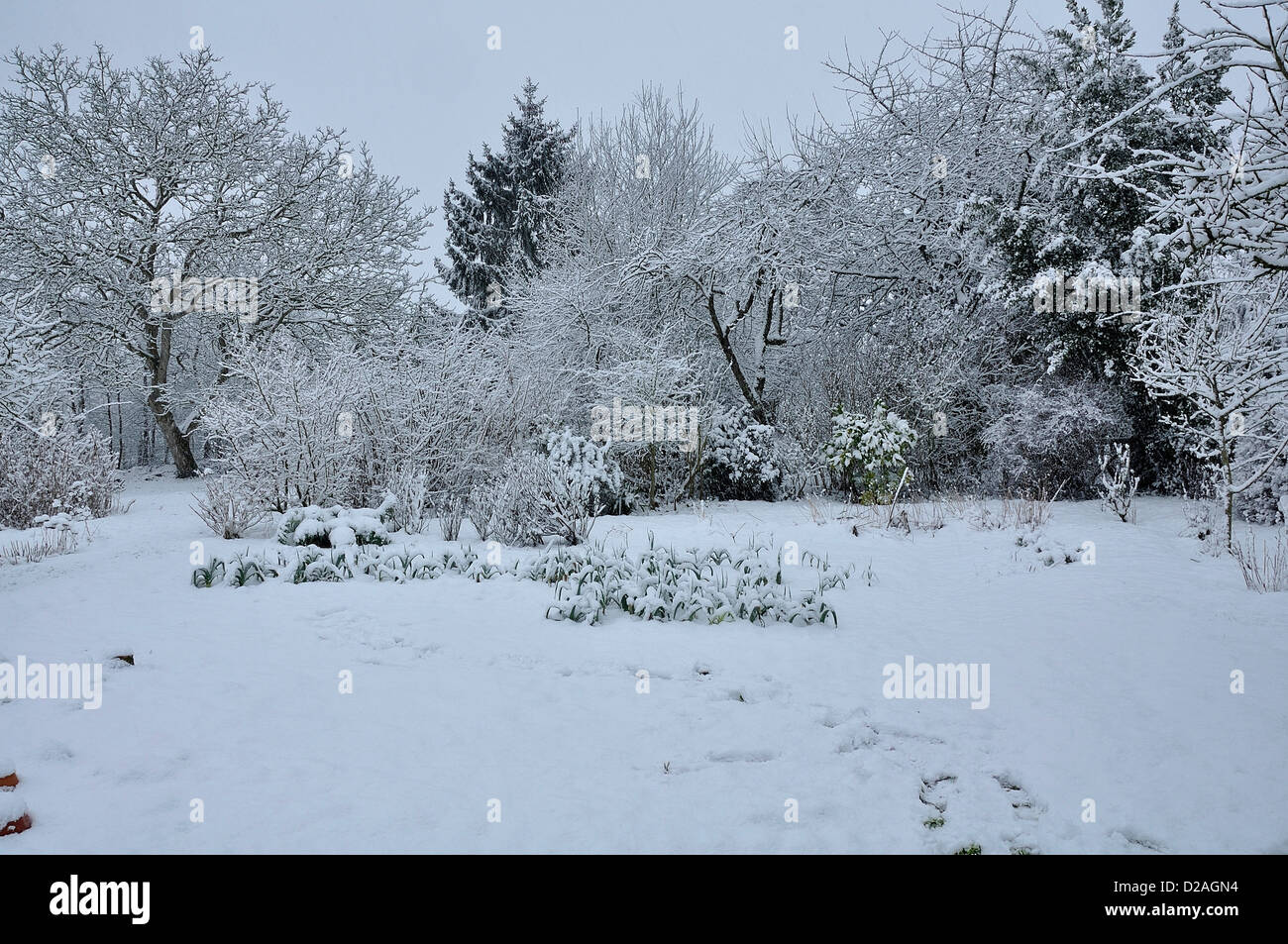 Jardin potager sous la neige und hiver Fotos und Bildmaterial in