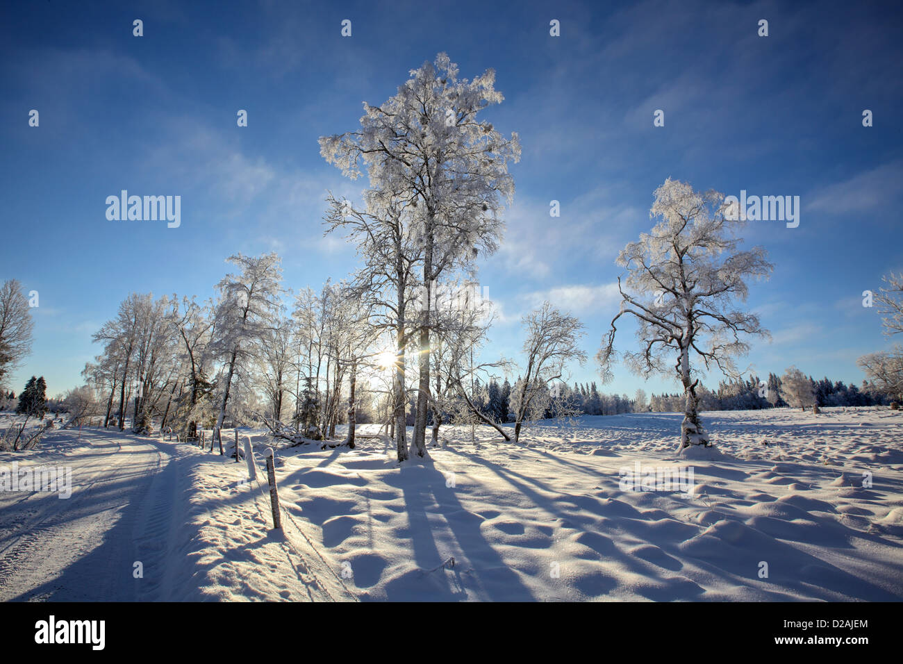 schwedischen winter Stockfoto