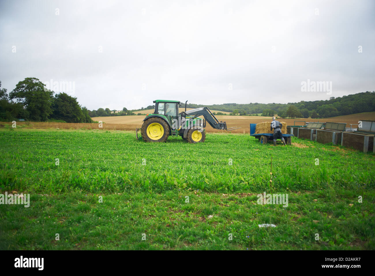 Traktor im Bereich Stockfoto