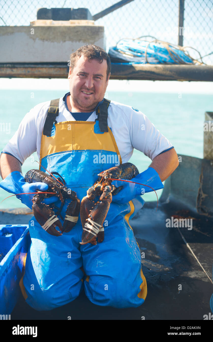 Fischer Holding Hummer auf Boot Stockfoto