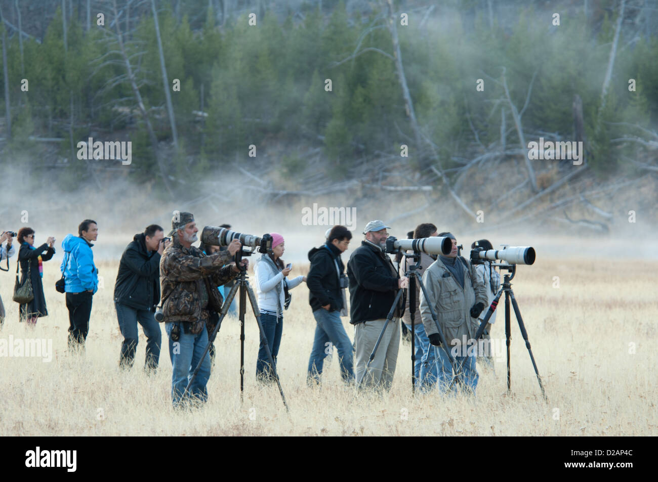Wildlife-Fotografen im Yellowstone-Nationalpark, Wyoming Stockfoto