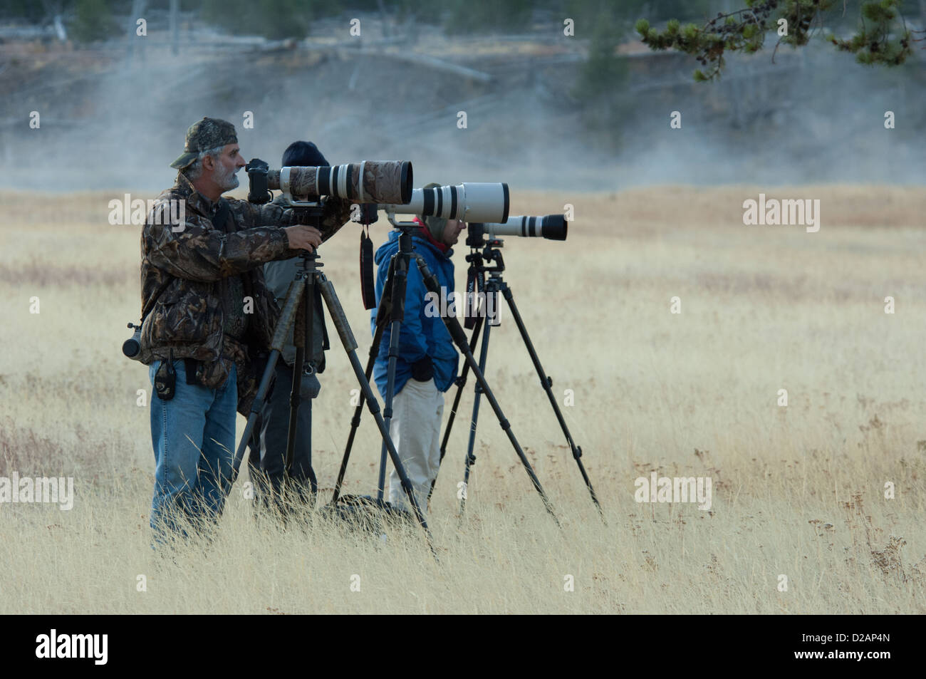 Wildlife-Fotografen im Yellowstone-Nationalpark, Wyoming Stockfoto
