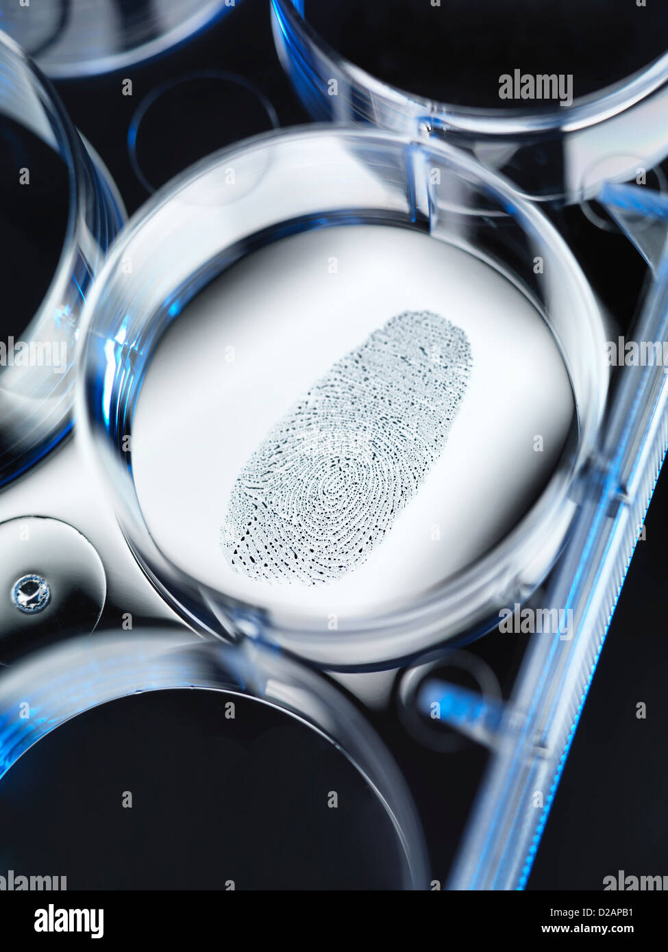 Nahaufnahme von Fingerabdruck im forensischen Labor Stockfoto