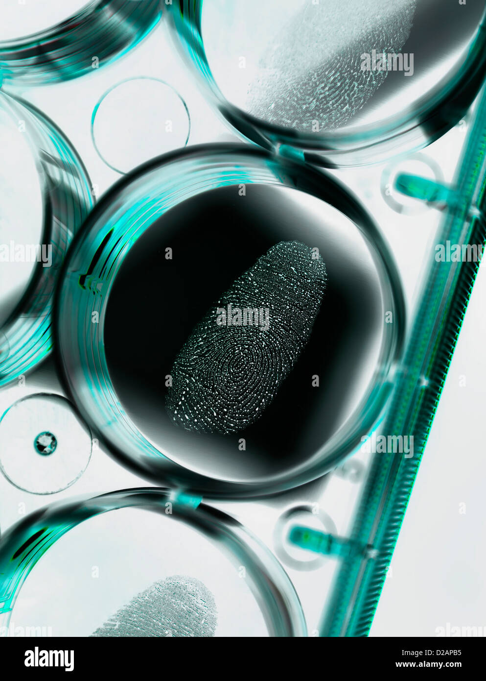 Nahaufnahme von Fingerabdruck im forensischen Labor Stockfoto